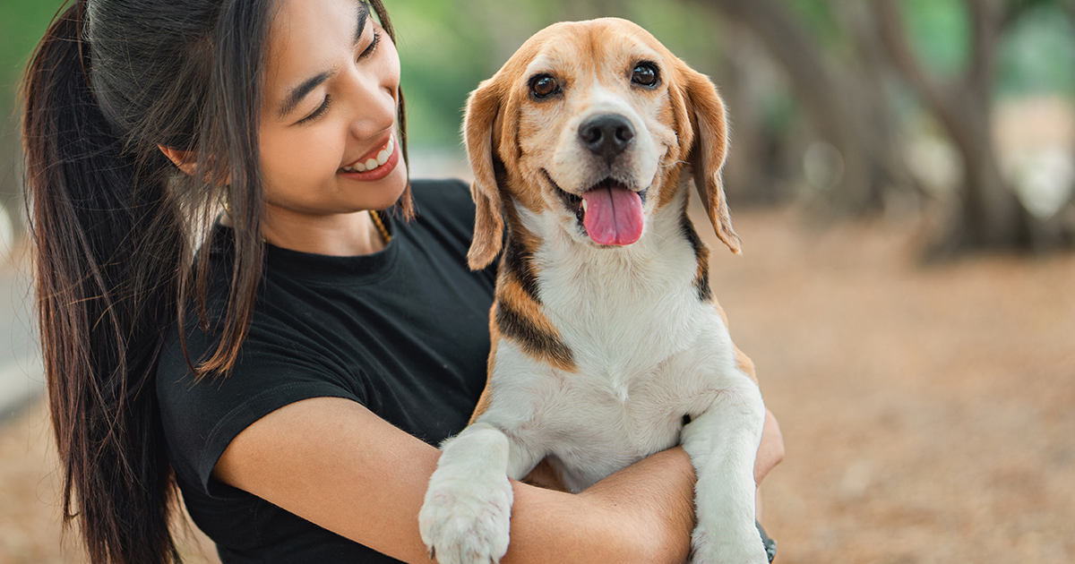 Asian woman holding a happy beagle outside